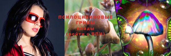 тгк Абдулино