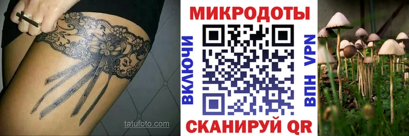 shop телеграм Сафоново Галлюциногенные грибы Psilocybe купить наркоту
